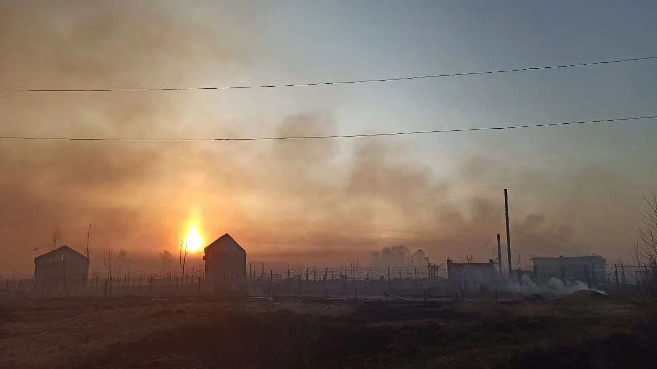 Дмитрий Антоненков, 66.RU
