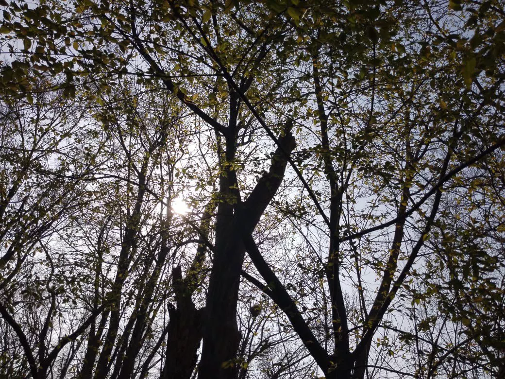 РБК Приморье