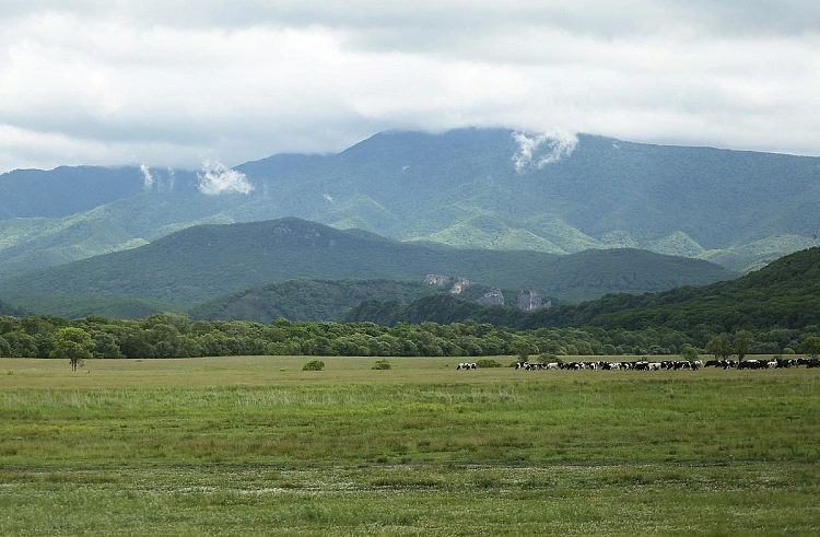 Правительство Приморского края