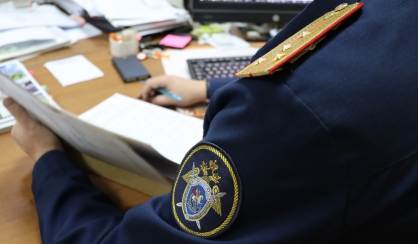 В деле директора нижегородского детдома «Надежда» появился второй эпизод