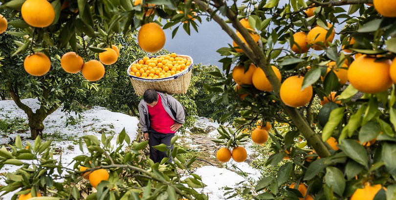 Фото: VCG / Visual China Group / ТАСС