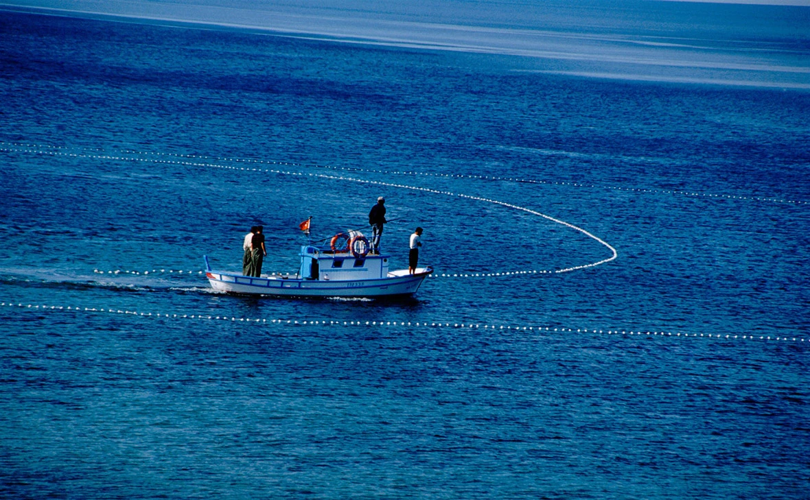 Cindy Miller Hopkins / Global Look Press