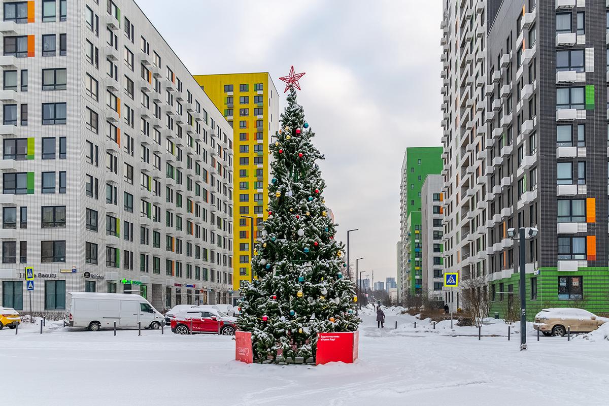 Фото: Kleymenov Valery / Shutterstock / FOTODOM