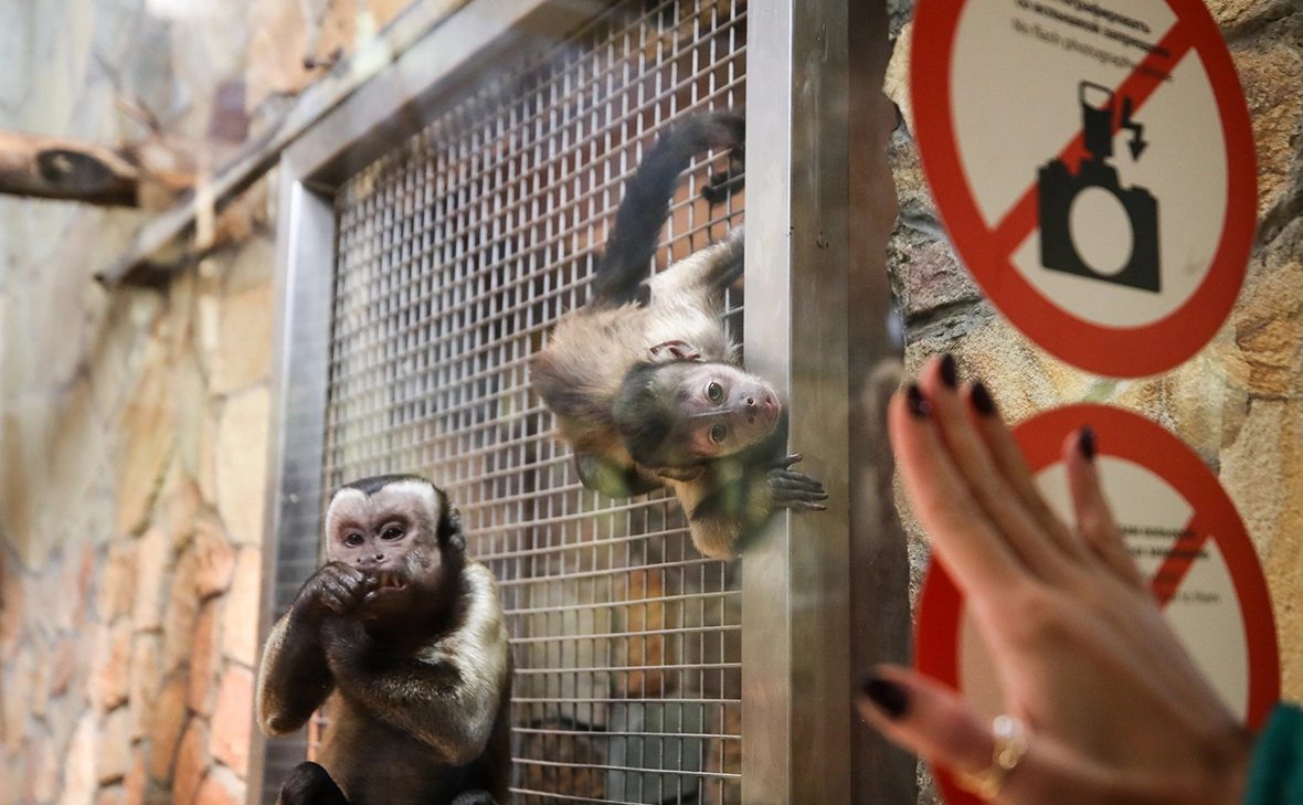 Александр Демьянчук / ТАСС