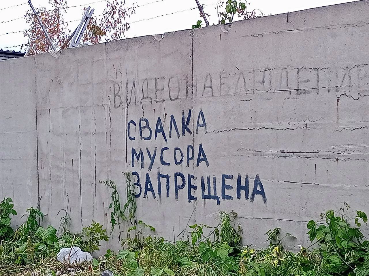 Алексей Коваленок / РБК Новосибирск