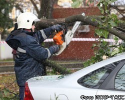 В результате шторма в Петербурге погибли шесть человек