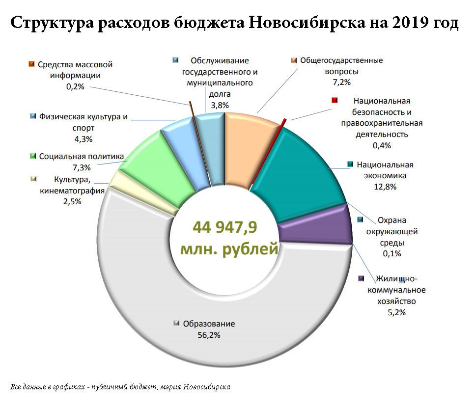 Какие вопросы у депутатов горсовета вызвал бюджет Новосибирска