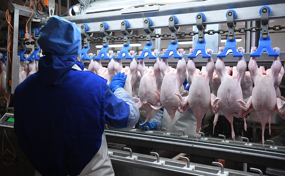 Александр Кряжев / РИА Новости