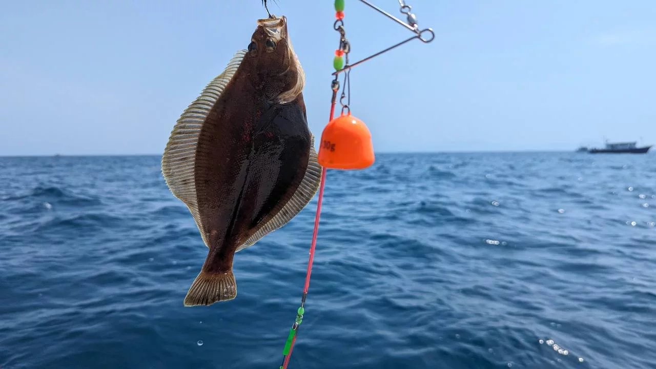 РБК Приморье