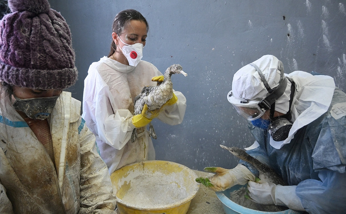 Сергей Пивоваров / Reuters