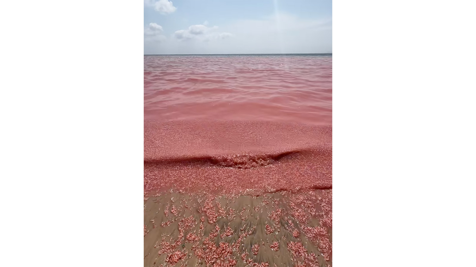 Море на побережье Омана
