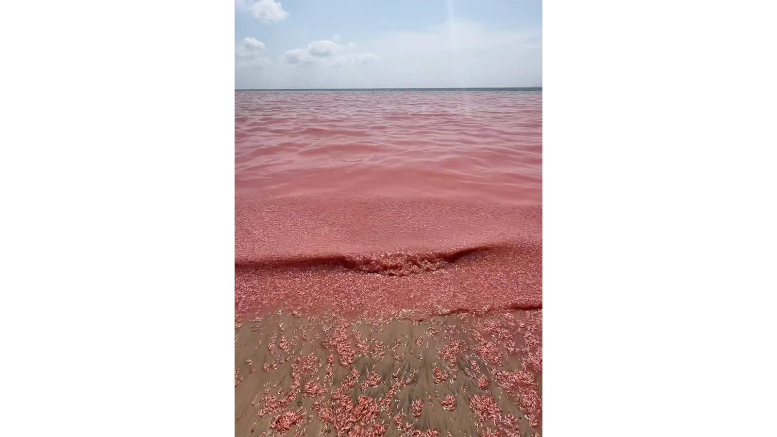Море на побережье Омана