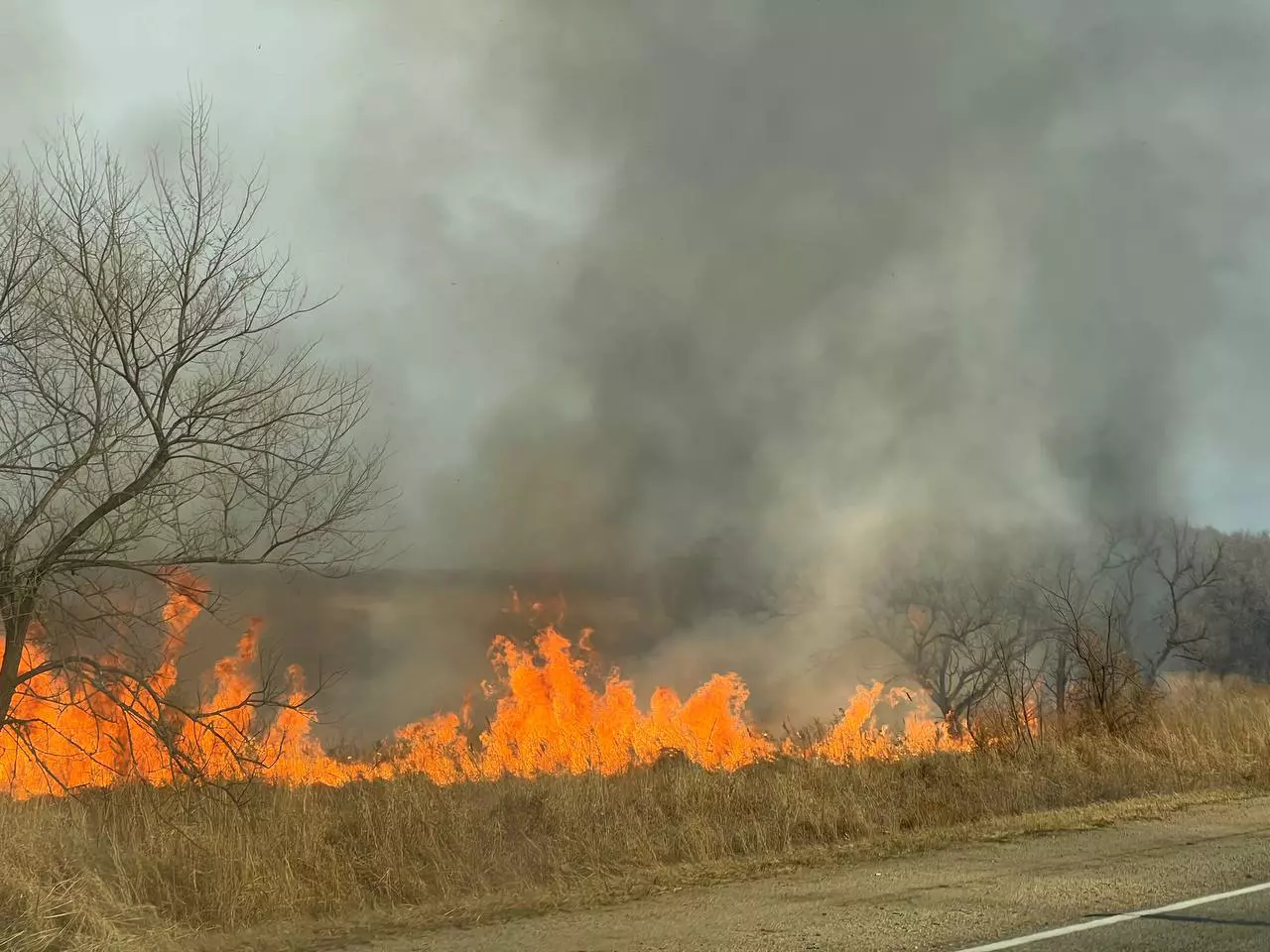 РБК Приморье