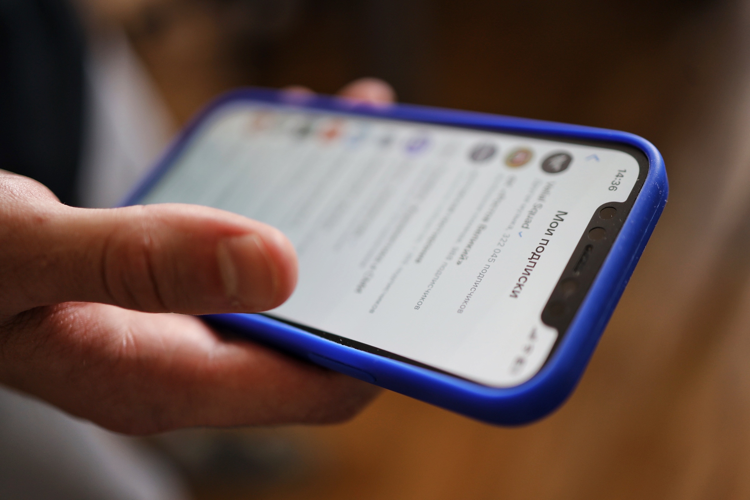 Фото: Вести35.рф