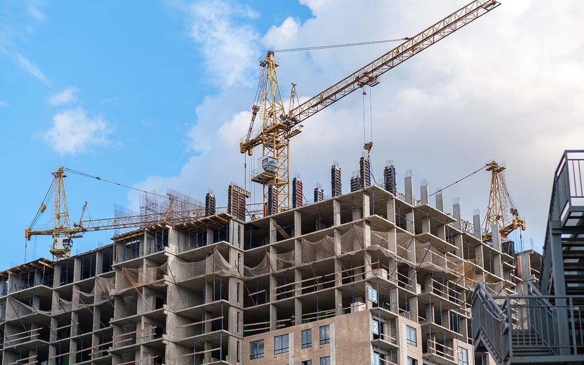 Фото: ANATOLY Foto / Shutterstock / FOTODOM