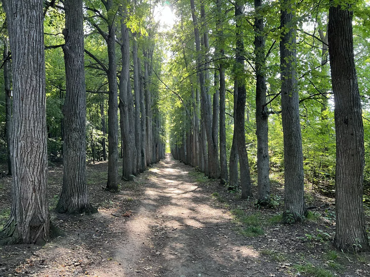 РБК Татарстан