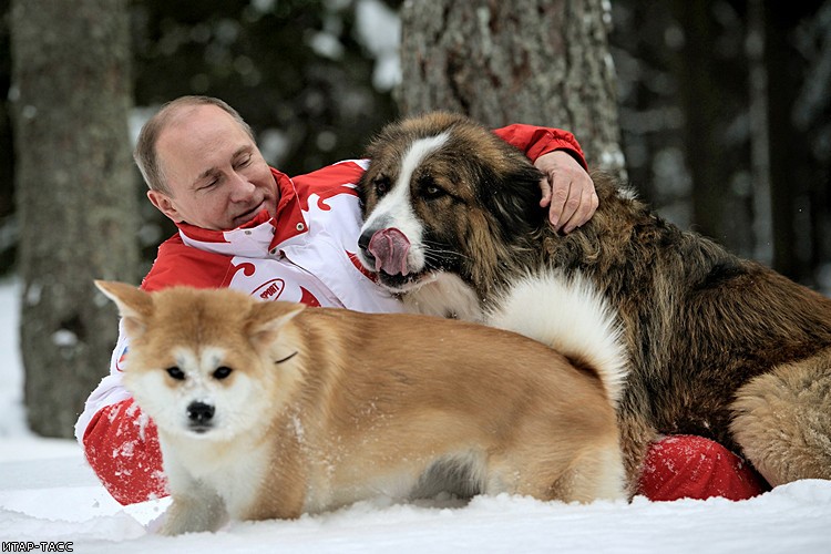 Фото дня: В.Путин и его собаки 