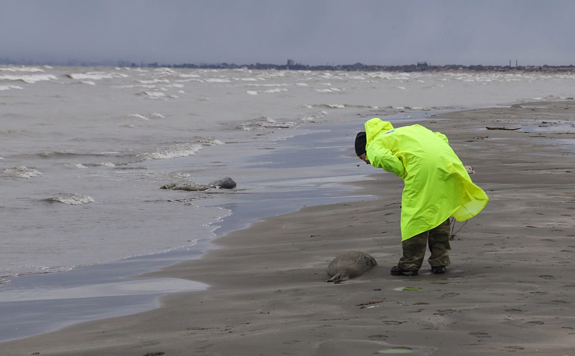 Муса Салгереев / ТАСС