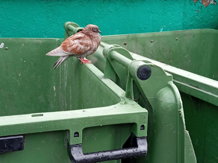 РБК Новосибирск