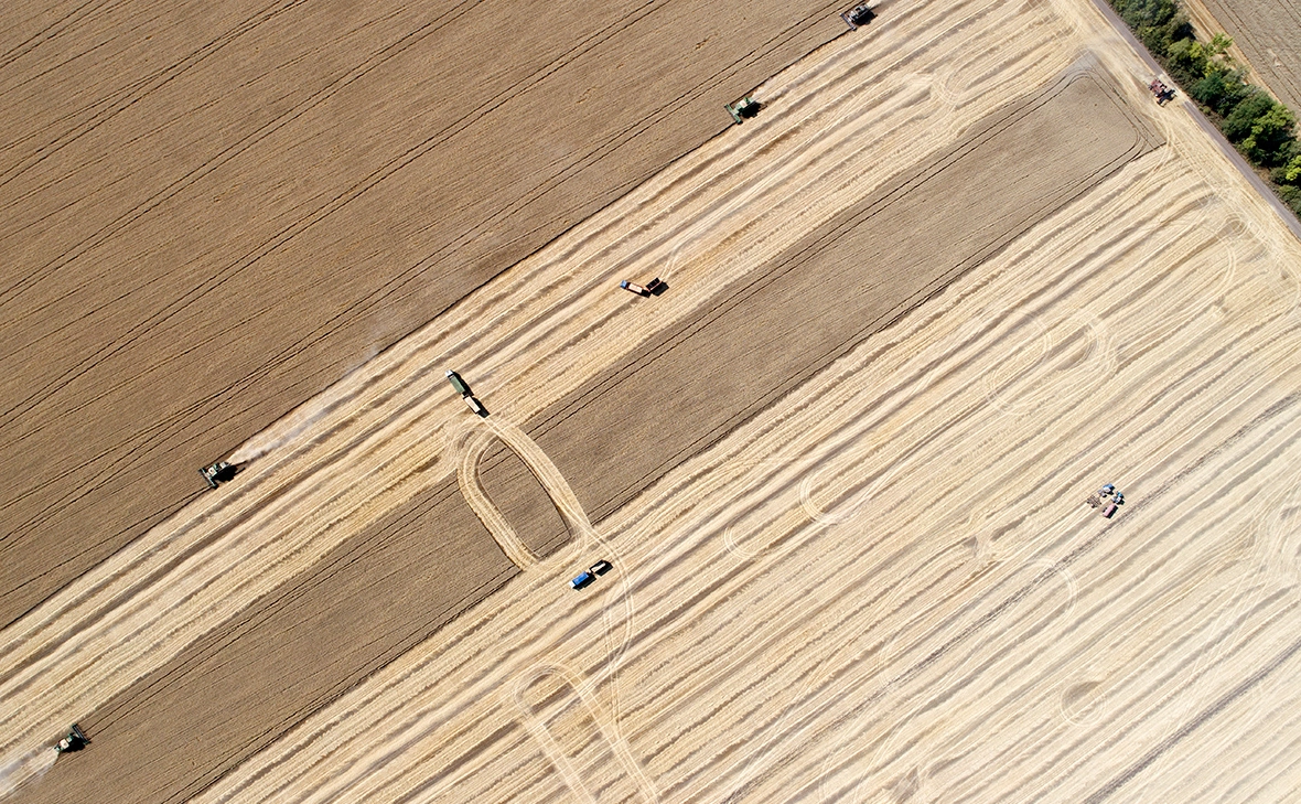 Николай Гынгазов / Global Look Press