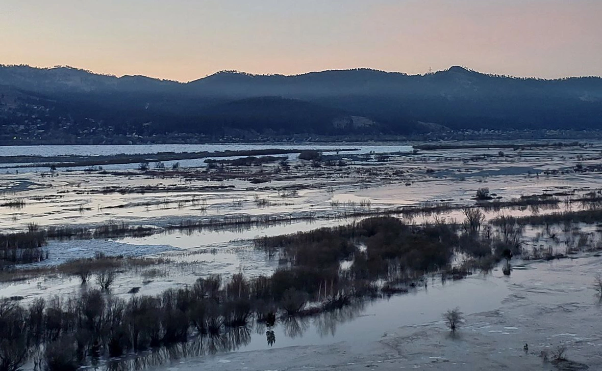 alexeytsydenov / Telegram