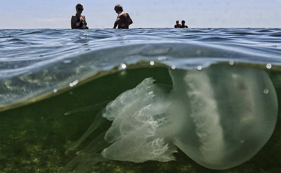 Алексей Коновалов / ТАСС