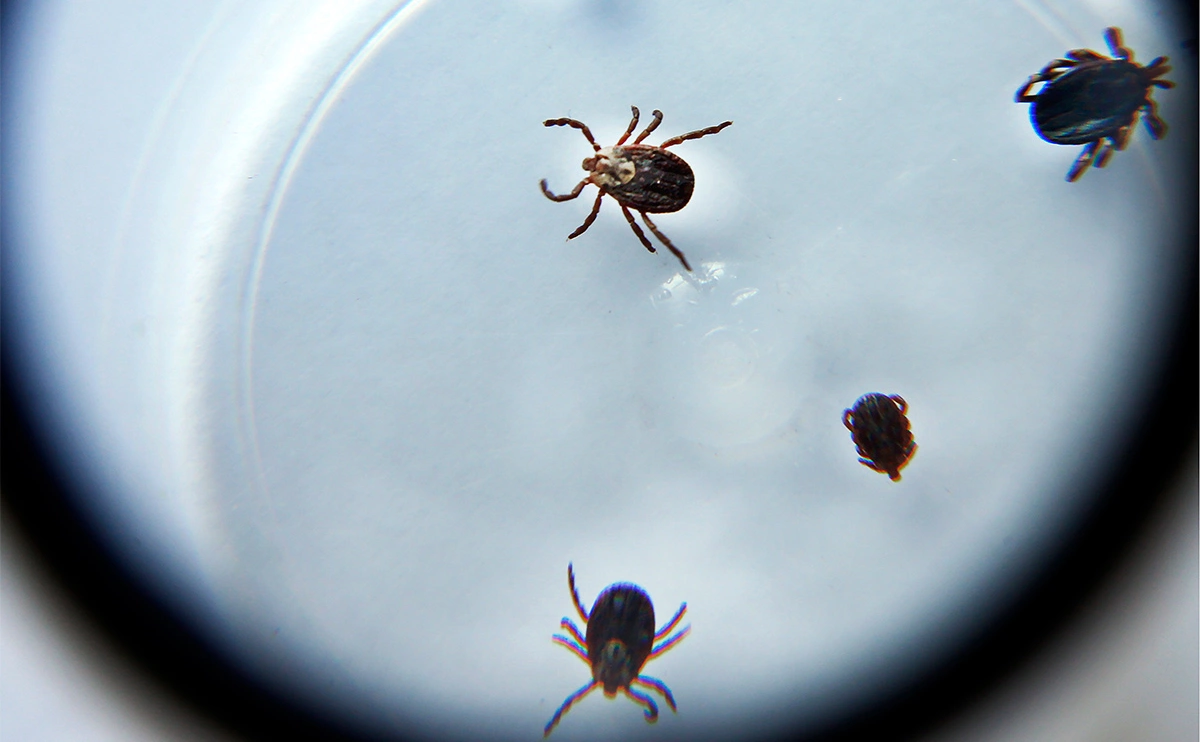 Валерий Матыцин / ТАСС