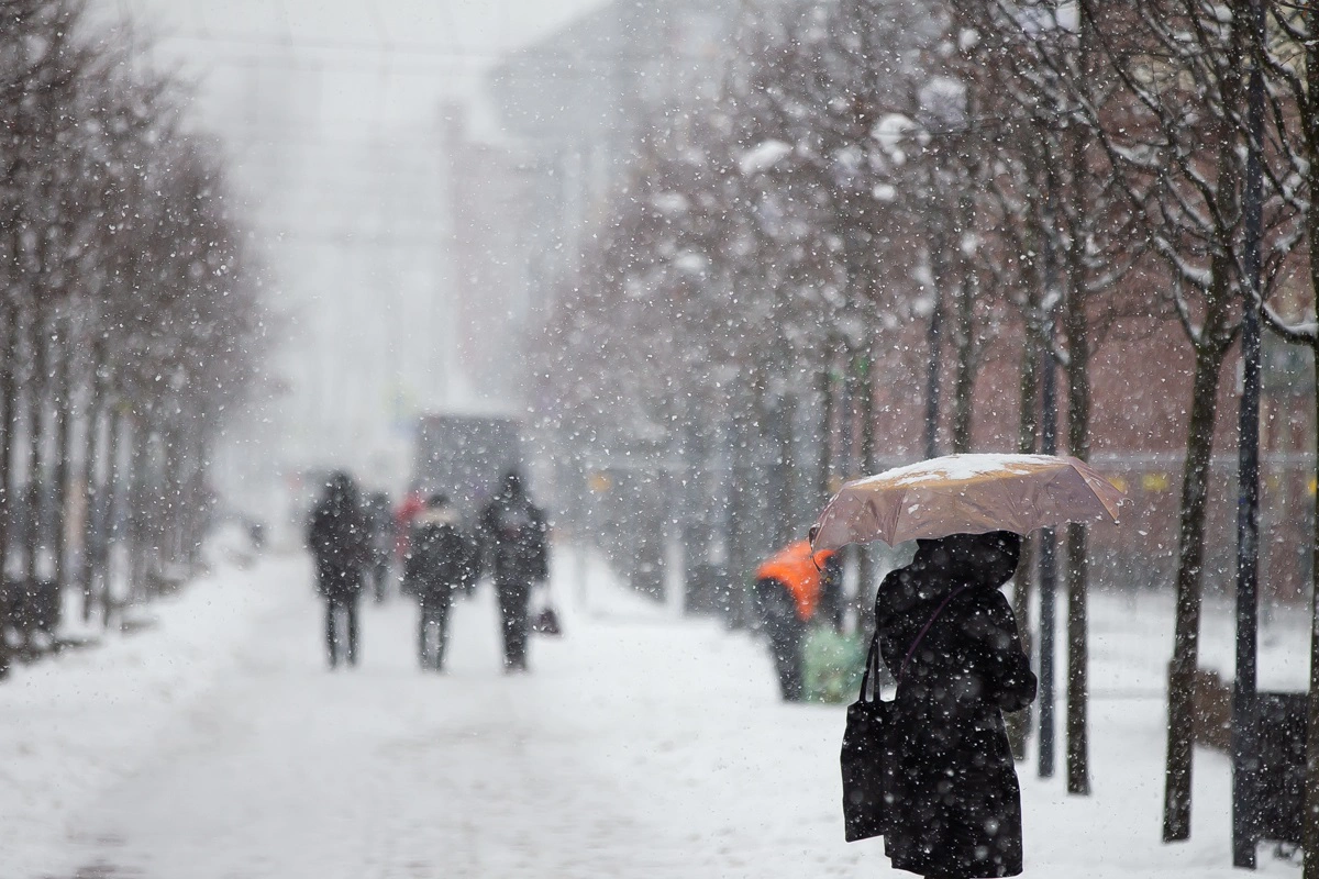 Александр Подгорчук