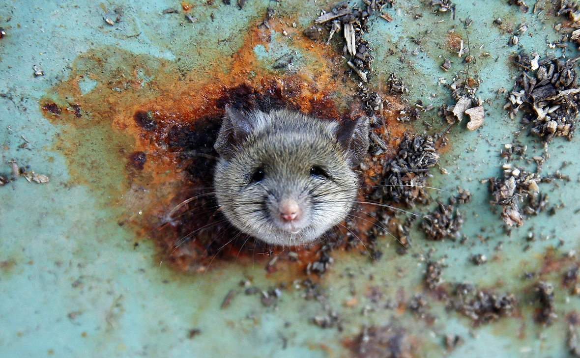 Lucas Jackson / Reuters