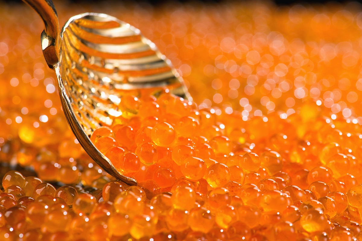 Как выбрать красную икру к новогоднему столу