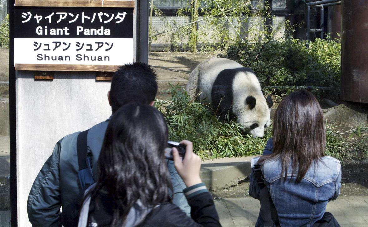 Фото: Koichi Kamoshida / Getty Images