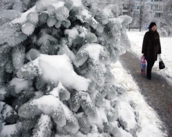 Уходящий год в Москве стал рекордным на погодные аномалии