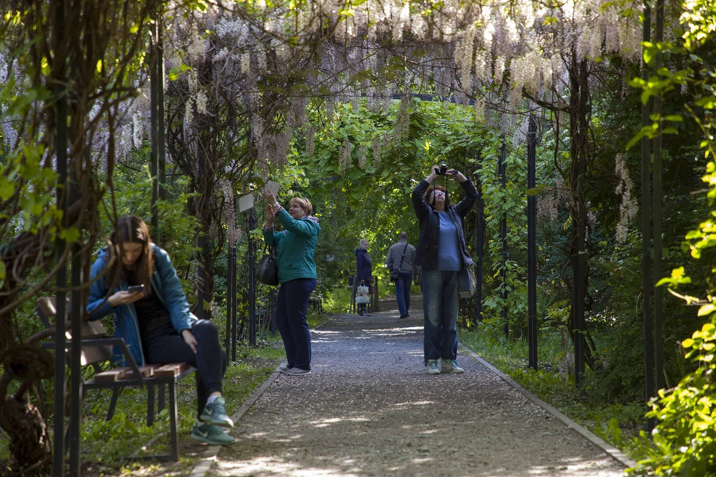 Александр Подгорчук