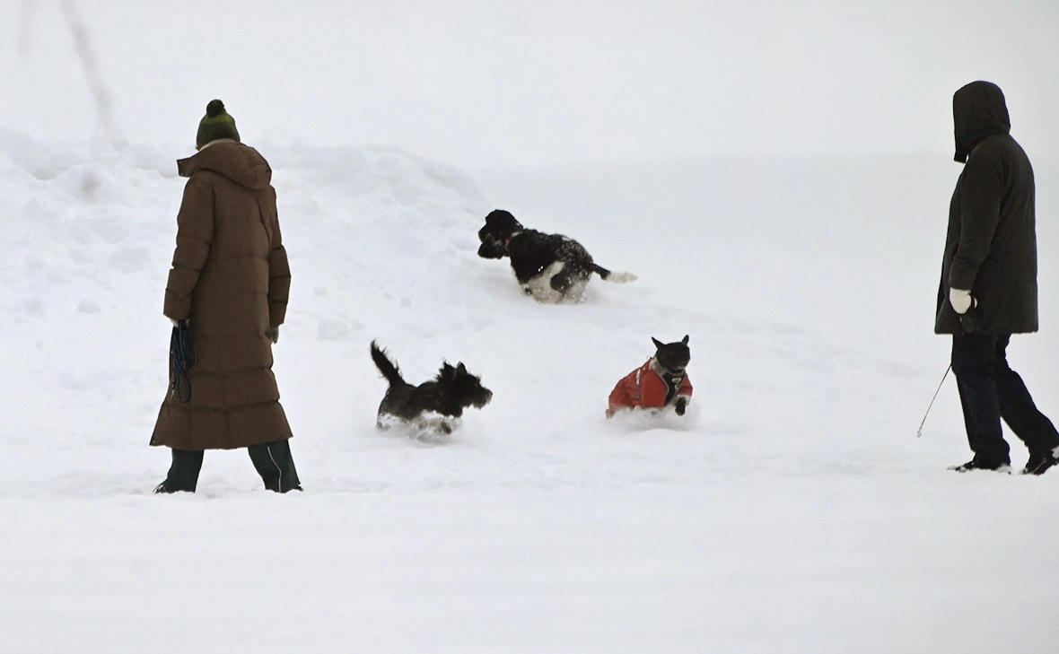 Владимир Федоренко / РИА Новости