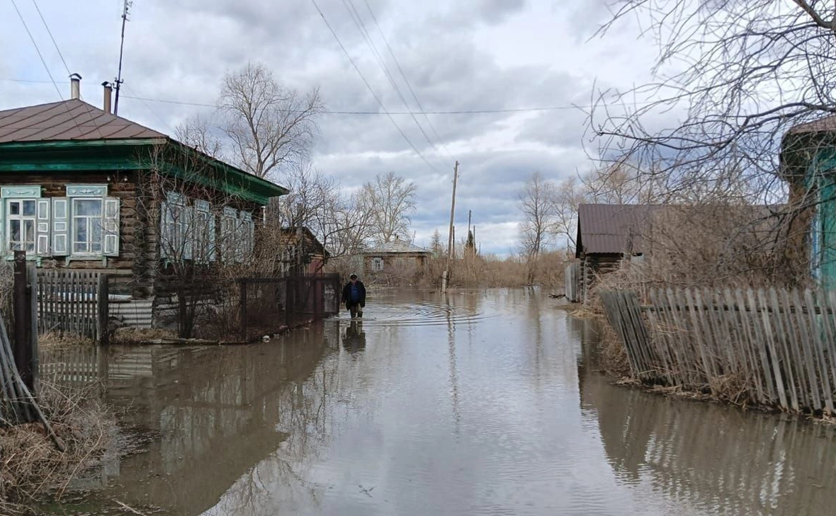 silavpravdevshumkov / Telegram