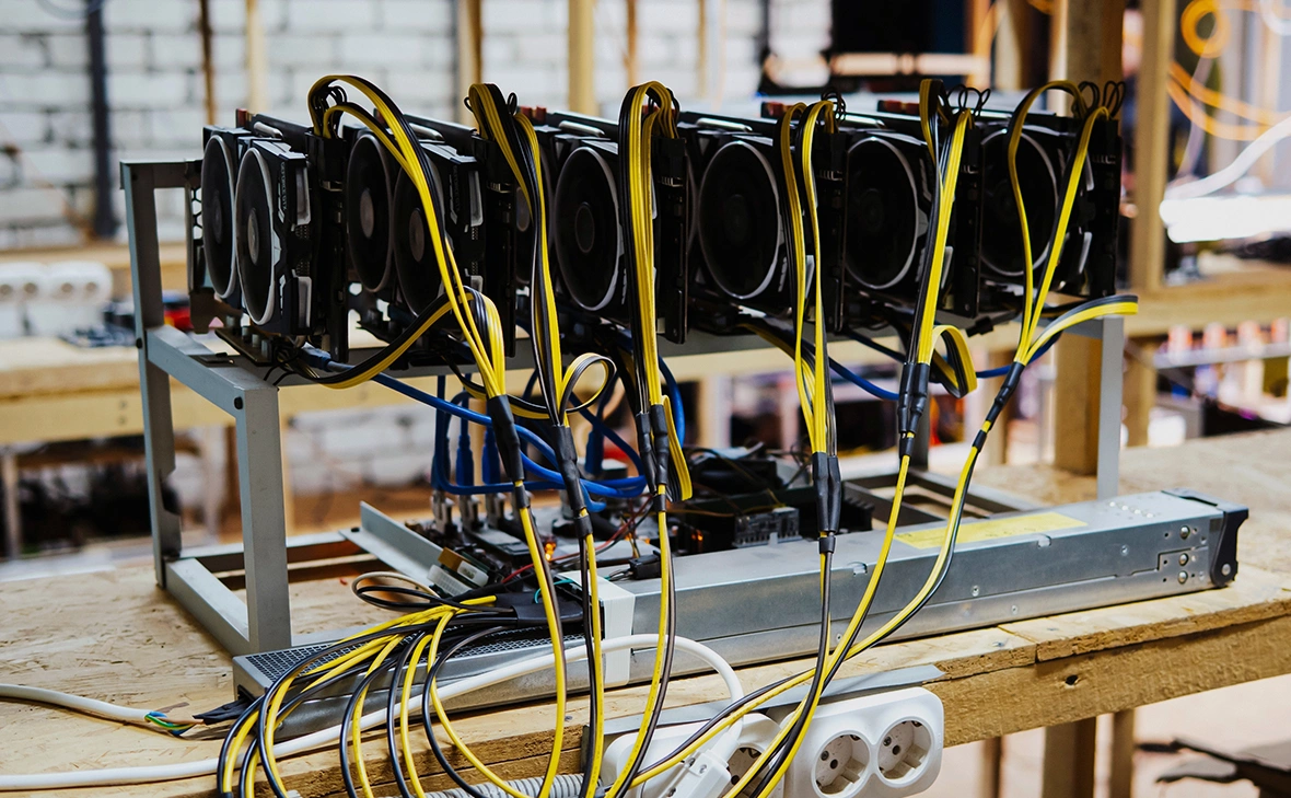 Роман Ларчиков / Shutterstock