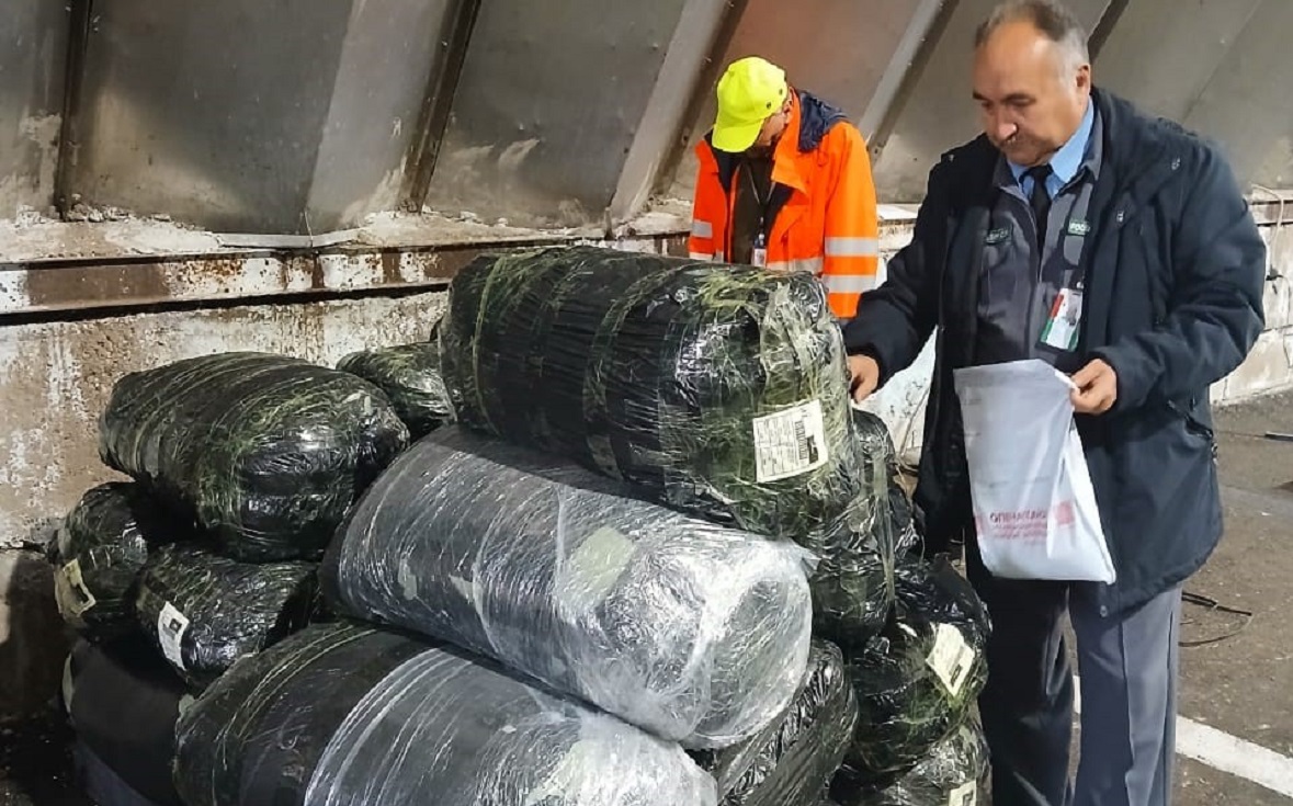 Фото: Управление Россельхознадзора по РБ