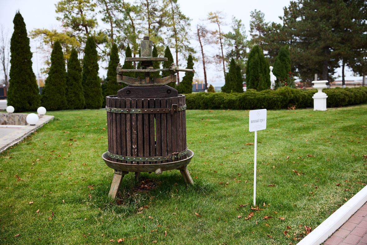 Первая бутылка вина на &laquo;Цимлянских винах&raquo; была выпущена в 1786 году. Донские казаки произвели игристое по собственной технологии, полученной опытным путем. Первый значимый урожай &mdash; 252 т винограда &mdash; собрали в 1936 году. В 1962 году начал работу завод игристых вин, а площадь виноградников выросла до 400 га.