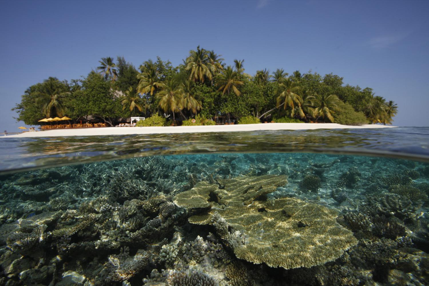 Фото: пресс-служба Dhawa Ihuru