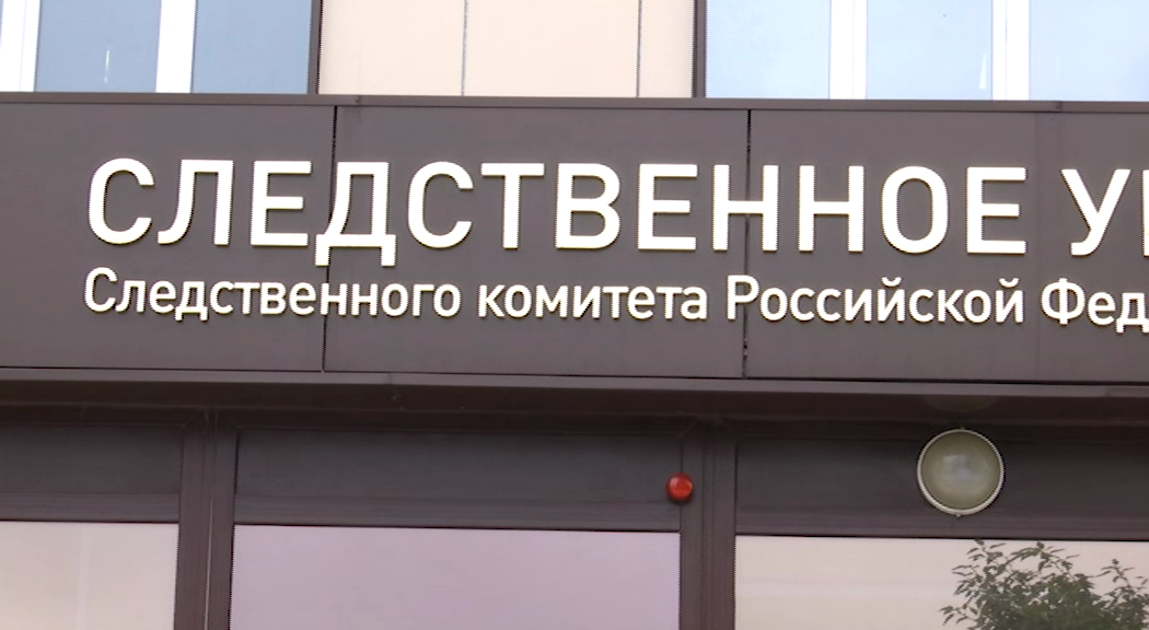 В Прикамье СК начал проверку по факту нападения медведя на женщину