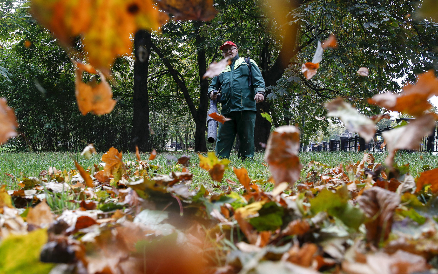 Уборка опавших листьев в парке &laquo;Останкино&raquo;