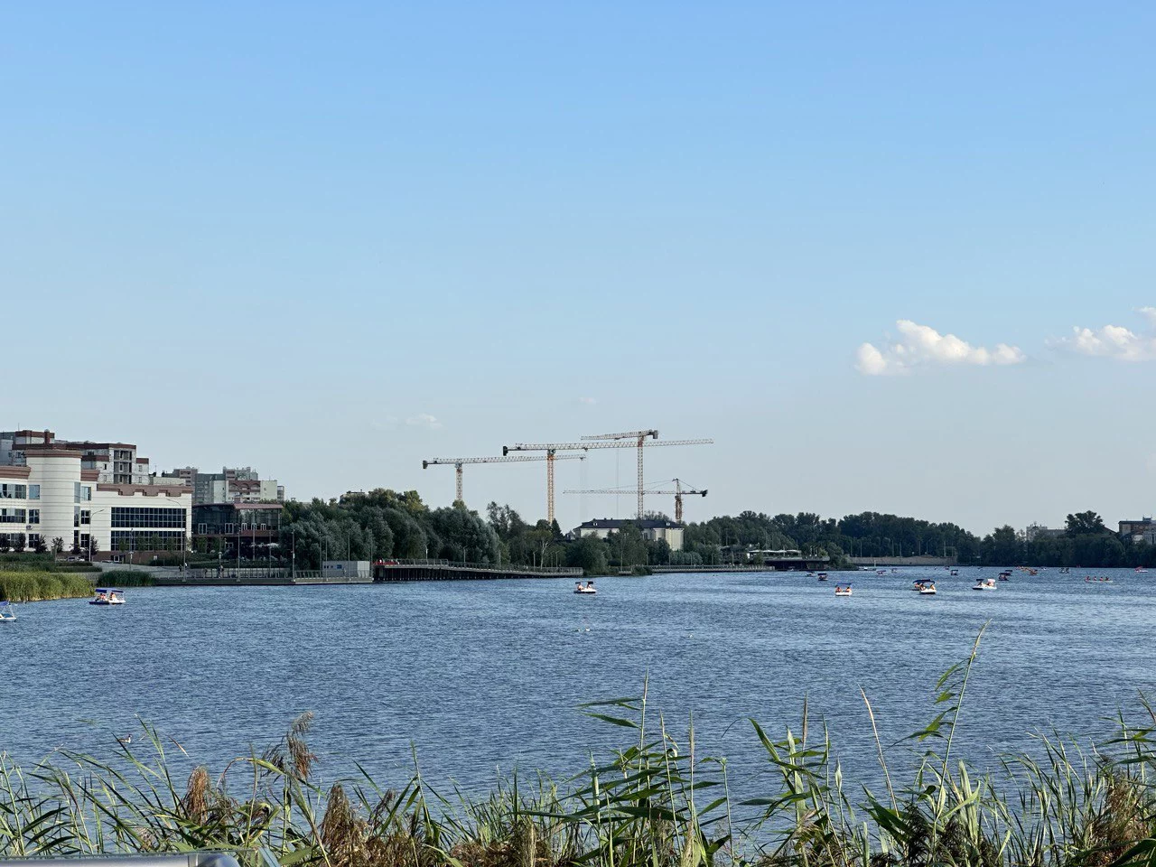 РБК Татарстан, Татьяна Ренкова