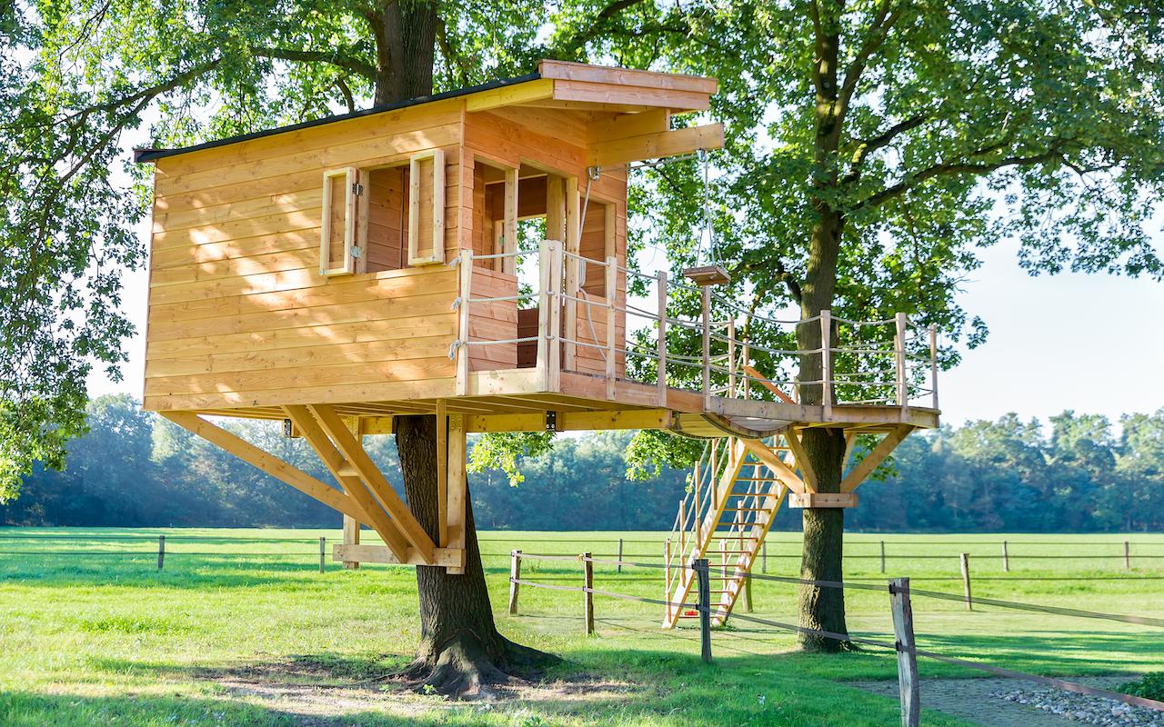 Дом на дереве: можно ли такой построить на даче или в лесу :: Загород ::  РБК Недвижимость