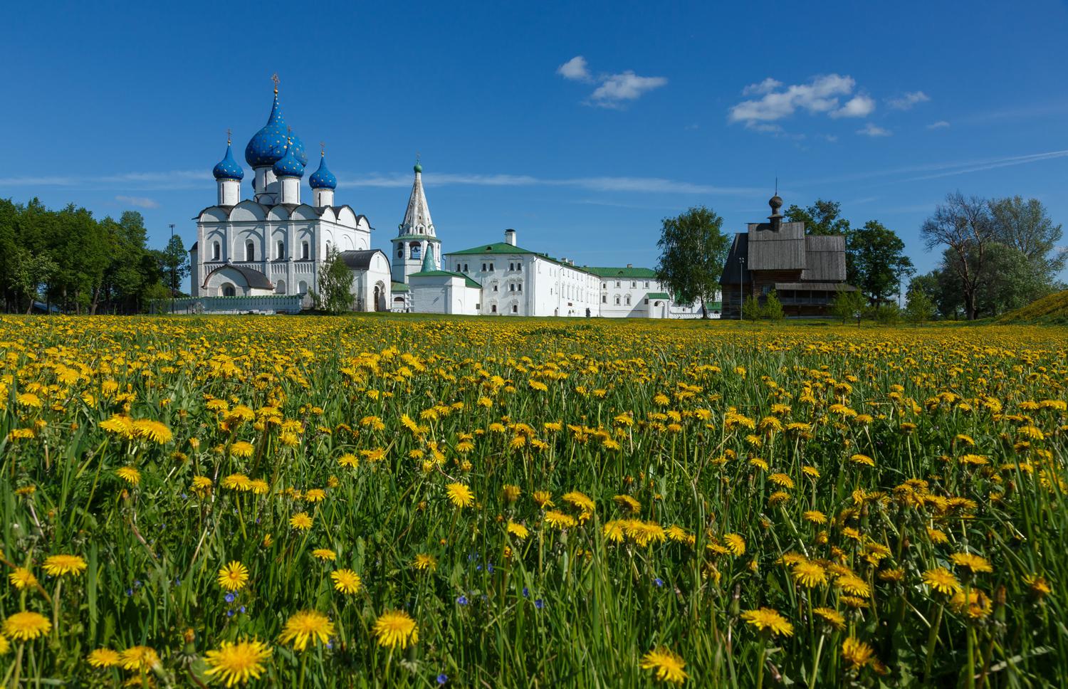 Фото: пресс-служба