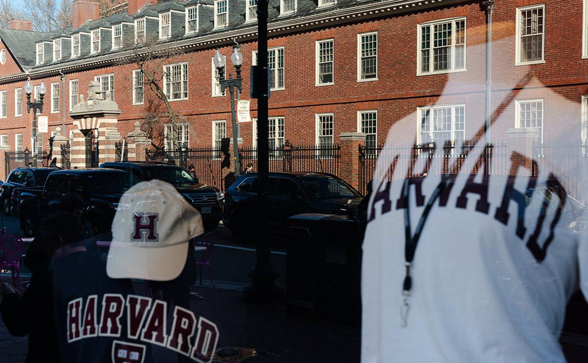 Фото: Sophie Park / Getty Images