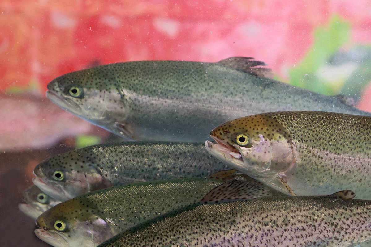 Фото: правительство Вологодской области