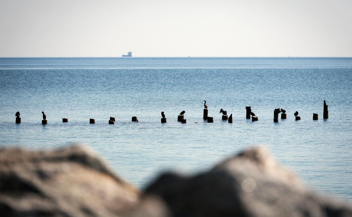 Фото: Nina Liashonok / Keystone Press Agency / Global Look Press