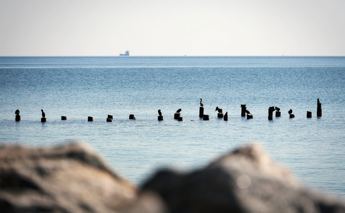 Nina Liashonok / Keystone Press Agency / Global Look Press