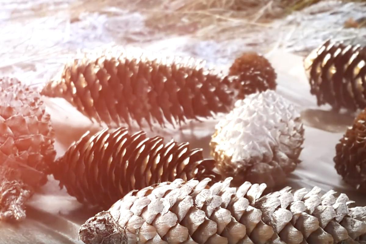 Как собрать новогоднюю гирлянду из шишек