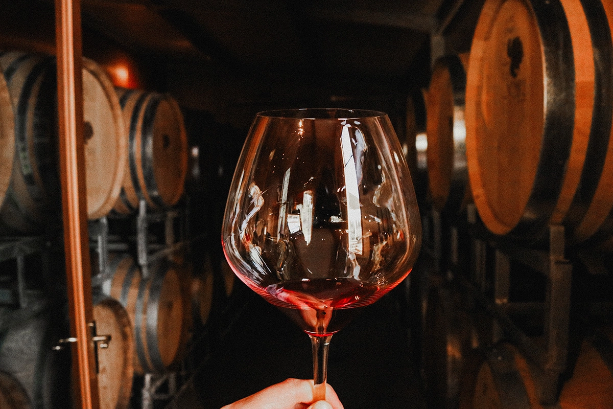 Кубанские винодельни оценили праздничный новогодний турпоток. Кто в плюсе